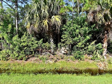 Beach Lot For Sale in Fort Pierce, Florida