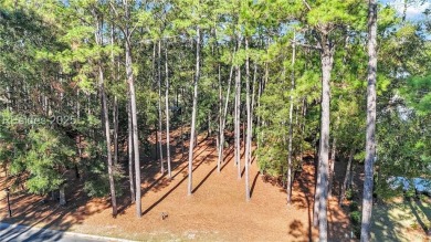 Beach Lot For Sale in Bluffton, South Carolina