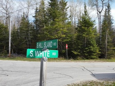 Beach Acreage For Sale in Cedarville, Michigan