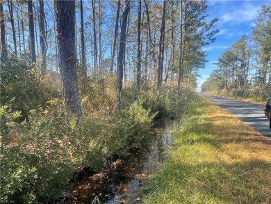 Beach Acreage For Sale in Parksley, Virginia