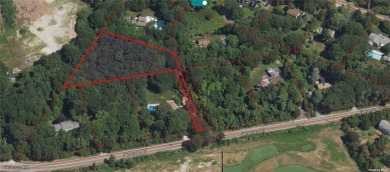 Beach Lot For Sale in Southampton, New York