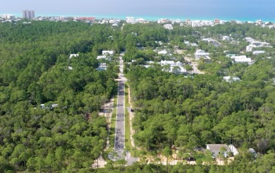 Beach Lot For Sale in Santa Rosa Beach, Florida