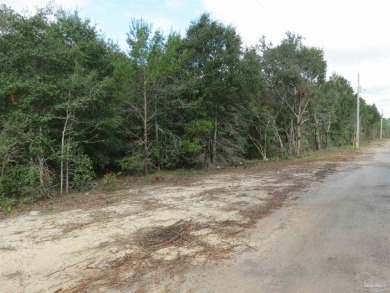 Beach Acreage For Sale in Navarre, Florida