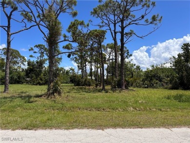 Beach Lot For Sale in St. James City, Florida