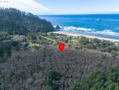 Beach Lot For Sale in Arch Cape, Oregon