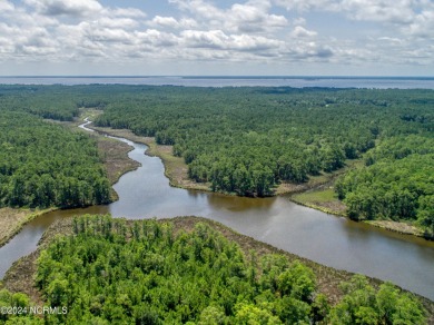 Beach Lot For Sale in Belhaven, North Carolina