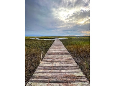 Beach Acreage For Sale in Woodbine, Georgia