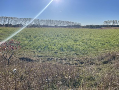 Beach Acreage For Sale in Shelby, Michigan