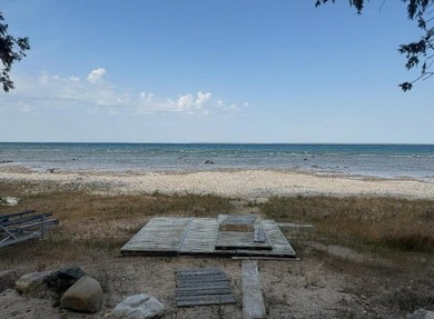 Beach Lot For Sale in Carp Lake, Michigan
