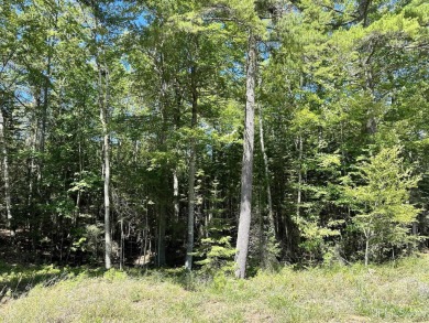 Beach Acreage For Sale in Manistique, Michigan