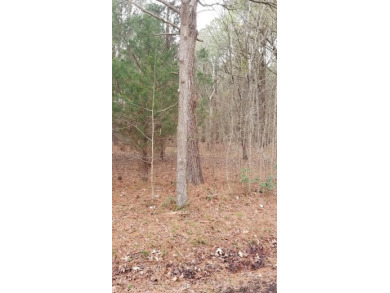 Beach Acreage Off Market in Exmore, Virginia