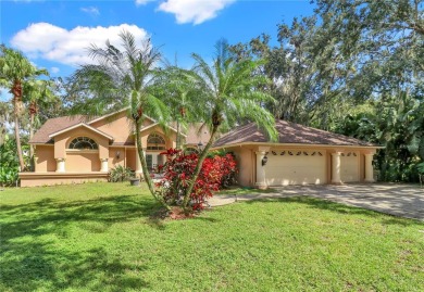 Beach Home For Sale in Palm Harbor, Florida