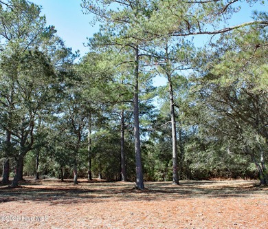 Beach Lot For Sale in Sunset Beach, North Carolina