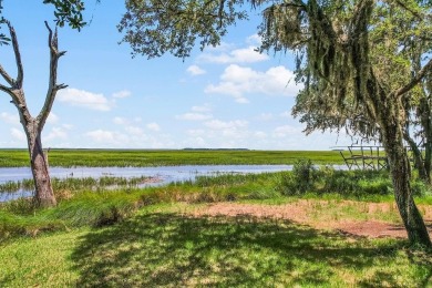Beach Lot For Sale in Townsend, Georgia