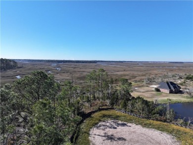 Beach Acreage For Sale in Saint Marys, Georgia