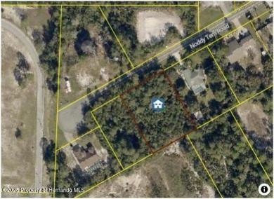 Beach Lot For Sale in Weeki Wachee, Florida