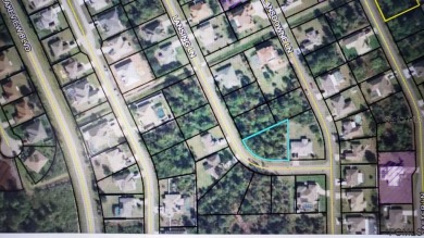 Beach Lot For Sale in Palm Coast, Florida