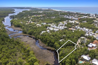 Beach Lot For Sale in Inlet Beach, Florida