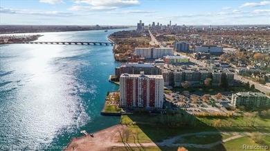 Beach Condo For Sale in Detroit, Michigan