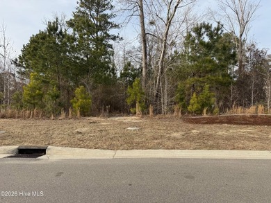 Beach Lot For Sale in Leland, North Carolina