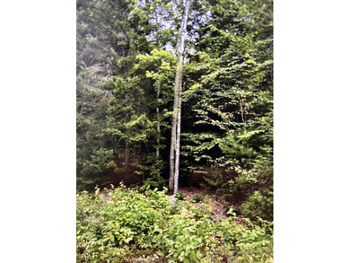 Beach Lot For Sale in Sullivan, Maine