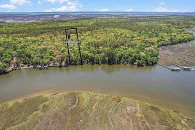 Beach Acreage For Sale in Townsend, Georgia