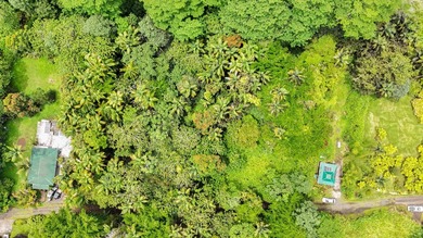 Beach Lot For Sale in Pahoa, Hawaii