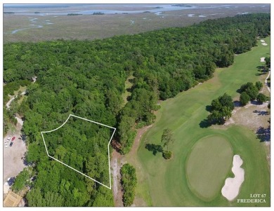 Beach Acreage For Sale in Saint Simons, Georgia