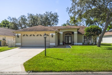 Beach Home Sale Pending in Spring Hill, Florida