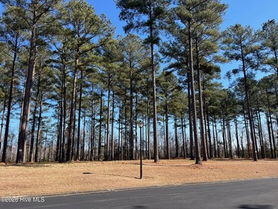 Beach Lot For Sale in Oriental, North Carolina
