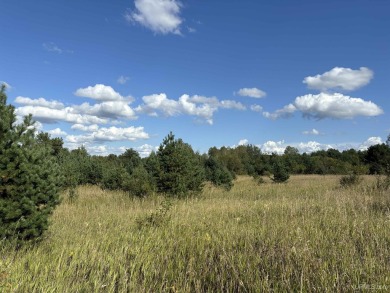 Beach Acreage Sale Pending in Ironwood, Michigan