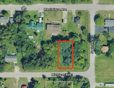 Beach Lot For Sale in Manistique, Michigan
