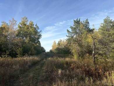 Beach Acreage For Sale in Ironwood, Michigan