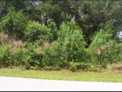 Beach Lot Sale Pending in Palm Coast, Florida