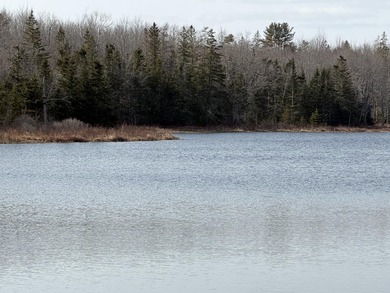 Beach Acreage For Sale in Gouldsboro, Maine