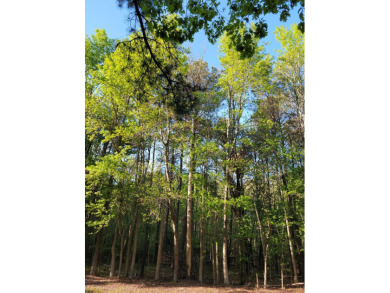 Beach Acreage Off Market in Exmore, Virginia