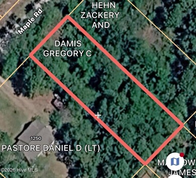 Beach Lot For Sale in Southport, North Carolina