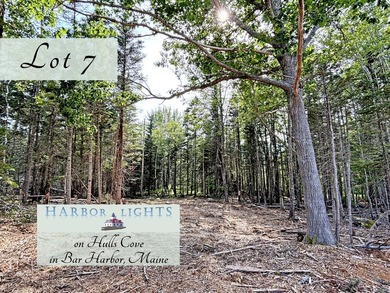 Beach Acreage For Sale in Bar Harbor, Maine