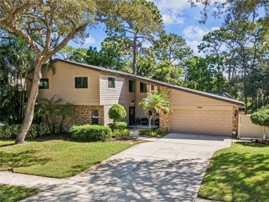 Beach Home For Sale in Palm Harbor, Florida