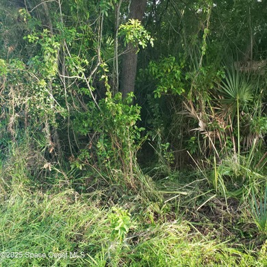 Beach Lot For Sale in Merritt Island, Florida