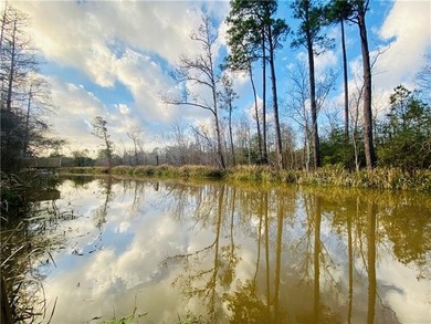 Beach Lot For Sale in Slidell, Louisiana