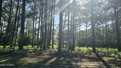 Beach Lot For Sale in Southport, North Carolina