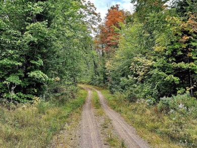 Beach Acreage Sale Pending in Ironwood, Michigan