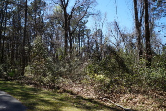 Beach Lot Off Market in Seabrook, South Carolina