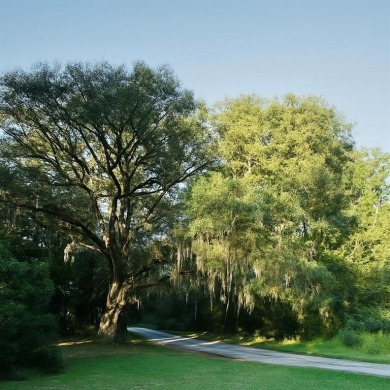 Beach Lot For Sale in Townsend, Georgia