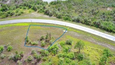 Beach Lot For Sale in Placida, Florida