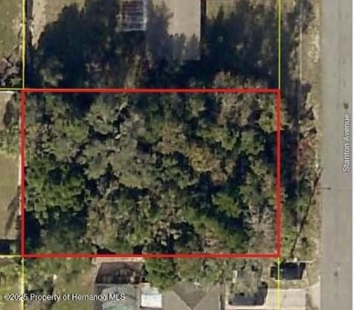 Beach Lot For Sale in Spring Hill, Florida