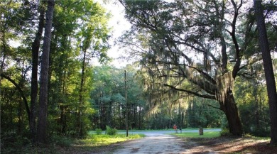 Beach Lot For Sale in Townsend, Georgia