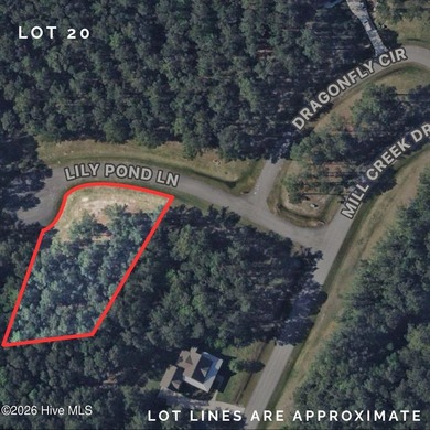Beach Lot For Sale in Minnesott Beach, North Carolina