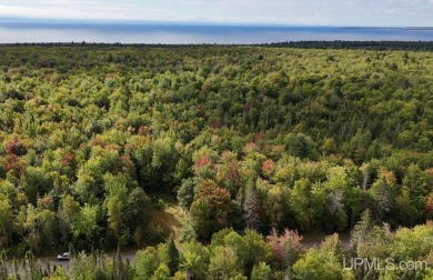 Beach Acreage For Sale in Lake Linden, Michigan